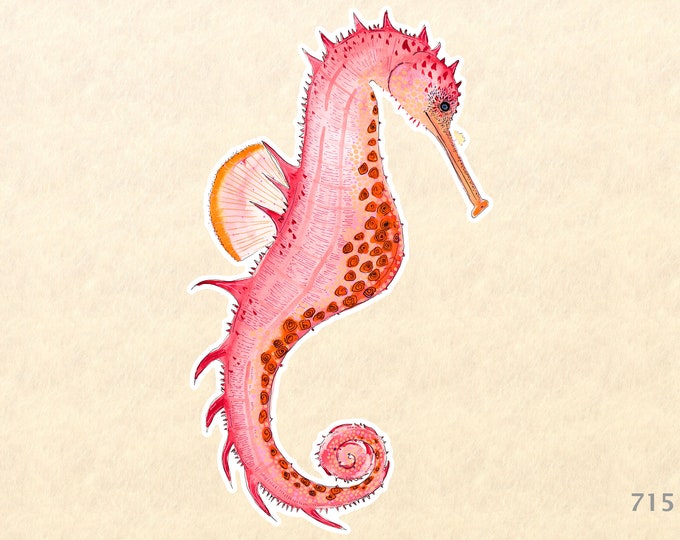 Sea Horse Sticker Sea Life Sticker Beach Sticker Nautical Sticker Laptop Sticker Water Bottle Sticker Decorative Sticker Red Orange