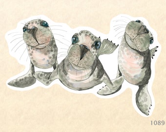 Three Seals Sticker Watercolor Art Sticker Laptop Sticker Water Bottle Sticker Scrapbooking Sticker