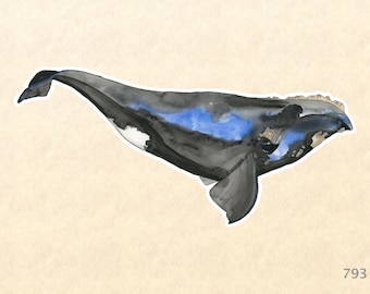 Right Whale Sticker Watercolor Art Sea Life Sticker Nautical Sticker Wildlife Sticker Laptop Sticker Water Bottle Sticker Macbook Decal