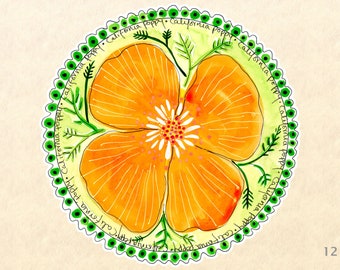 California Poppy Flower Sticker Garden Sticker Floral Sticker  Laptop iPhone Android Sticker Water Bottle Sticker Scrapbook Sticker