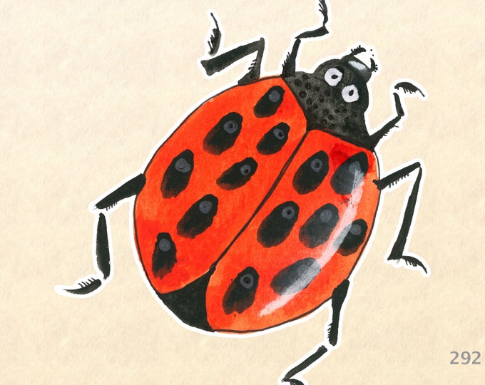 Ladybug Stickers, Garden Stickers, Decorative Stickers, Insect Stickers, Water Bottle Sticker, Scrapbooking Sticker, Macbook Decal