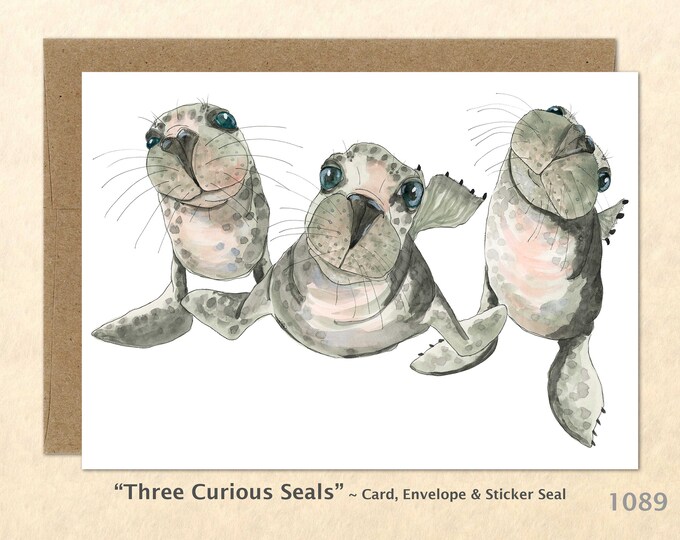 Three Curious Seal Note Card Customizable Blank Note Card Watercolor Art Cards Greeting Cards Sea Life Card