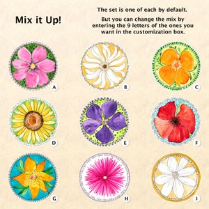 Flower Sticker Set 9 Watercolor Floral Stickers Garden Stickers Cosmos Daisy California Poppy Sunflower Periwinkle Lily Aster Clematis image 2