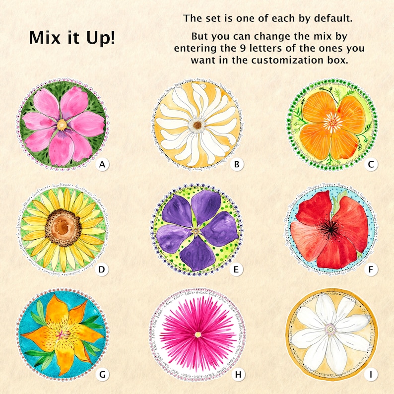 Flower Sticker Set 9 Watercolor Floral Stickers Garden Stickers Cosmos Daisy California Poppy Sunflower Periwinkle Lily Aster Clematis image 2