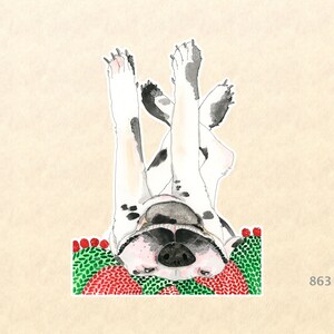 May include: A black and white spotted dog with pink paws is upside down with its head and paws in the air. The dog is smiling and has a pink nose. The dog is lying on a green and red patterned surface.