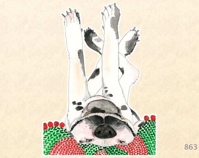 Upside Down Dog on a Christmas Blanket Sticker Dog Sticker Gift Wrapping Sticker Laptop Stickers Water Bottle Stickers Scrapbook Stickers