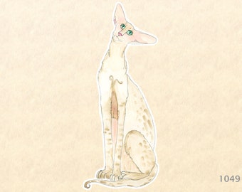 Cornish Rex Cat Sticker Laptop Sticker Water Bottle Sticker Scrapbooking Sticker Macbook Decal Watercolor Art