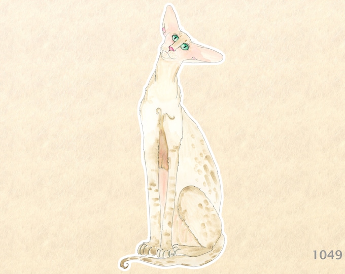 Cornish Rex Cat Sticker Laptop Sticker Water Bottle Sticker Scrapbooking Sticker Macbook Decal Watercolor Art