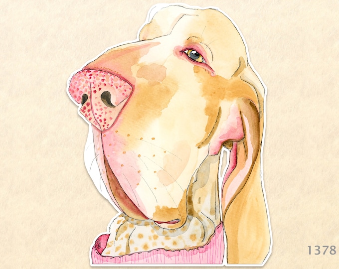 Hound Dog Sticker Dog Sticker Cute Dog Sticker Laptop Sticker Water Bottle Sticker Scrapbooking Sticker