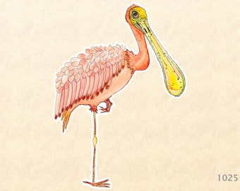 Rosa Roseate Skedstork Klistermärke Fågelklistermärke Akvarell Konst Vattenflaskklistermärke Scrapbookingklistermärke iPhone Android Macbook Dekal