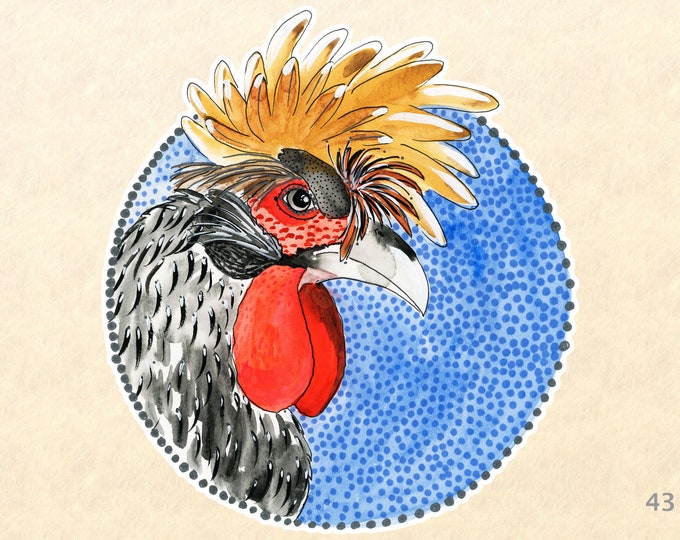 Rooster Stickers Chicken Sticker Watercolor Art Farm Animal Sticker Bird Sticker Water Bottle Journal Scrapbook Sticker Macbook Decal