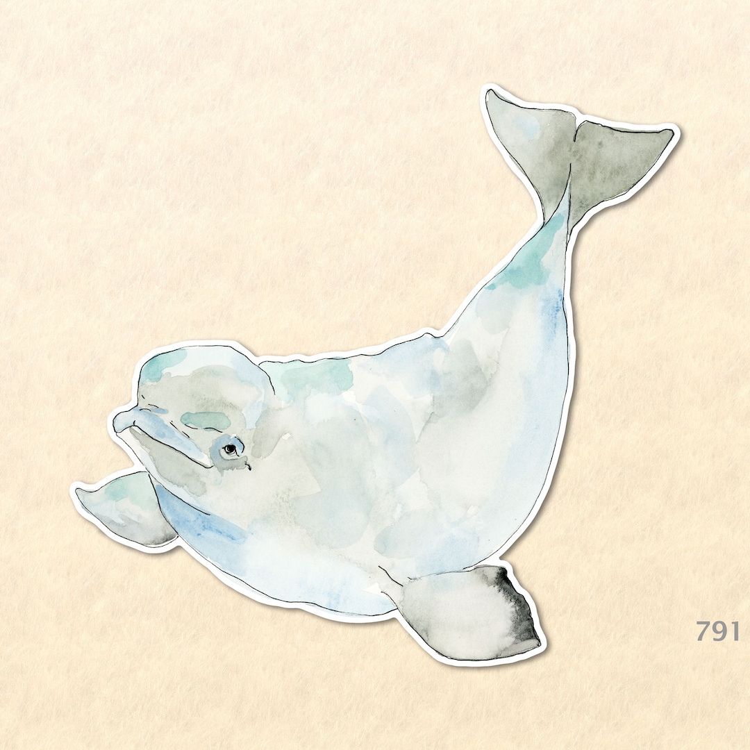 Beluga Whale Sticker Sea Life Sticker Nautical Sticker Wildlife Sticker ...