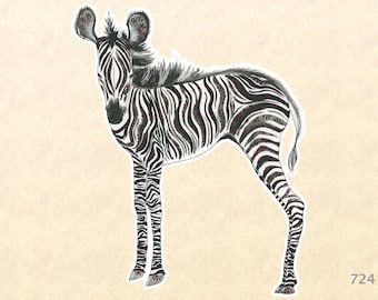 Baby Zebra Sticker Cute Baby Animal Stickers Watercolor Art Sticker Wildlife Sticker African Animal Sticker Laptop Water Bottle Scrapbooking