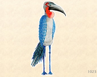 Silly Stork Sticker Bird Sticker Watercolor Art Water Bottle Sticker Scrapbook Sticker iPhone Android Macbook Decal