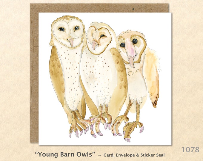 Three Young Barn Owls Note Card Bird Card Watercolor Art Card Customizable Blank Note Card Art Card Greeting Card