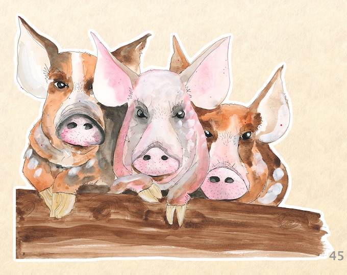 Three Pigs Sticker Farm Animal Sticker Cute Animal Sticker Fun Animal Sticker Water Bottle, Scrapbook Stickers, Macbook Decal Watercolor Art