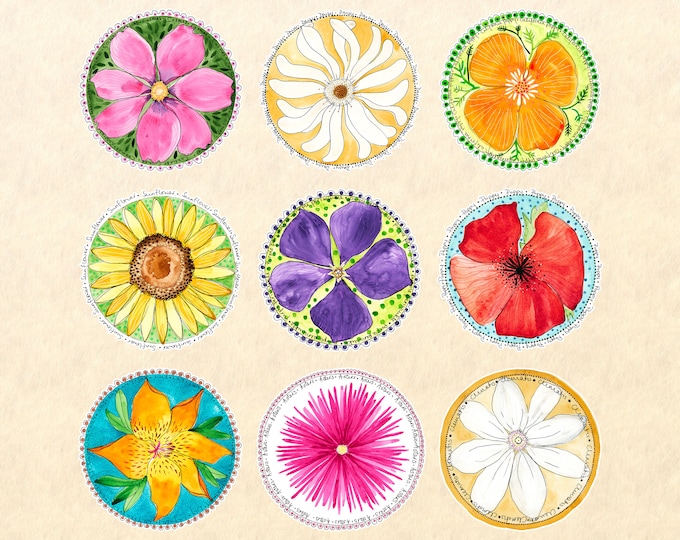 Flower Sticker Set  9 Watercolor Floral Stickers  Garden Stickers Cosmos Daisy California Poppy Sunflower Periwinkle Lily Aster Clematis