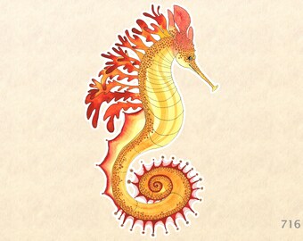 Sea Horse Sticker Sea Life Sticker Beach Sticker Nautical Sticker Laptop Sticker Water Bottle Sticker Decorative Sticker Red Yellow