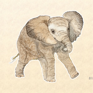Pegatinas De Elefante Bebé, Pegatinas De Animales Lindos, Pegatinas De Animales Bebés, Pegatinas De Vida Silvestre, Pegatinas De Animales Africanos, Pegatinas De Botellas De Agua