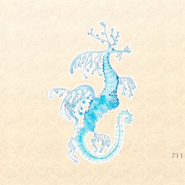 Sea Horse Sticker Sea Life Sticker Beach Sticker Nautical Sticker Laptop Sticker Water Bottle Sticker Decorative Sticker Watercolor Art