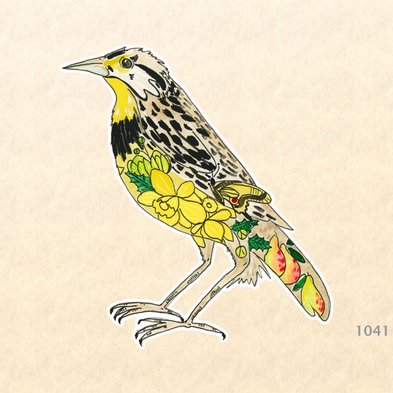 Western Meadowlark Sticker State Bird Sticker Watercolor Art Water Bottle  Sticker Scrapbook Sticker