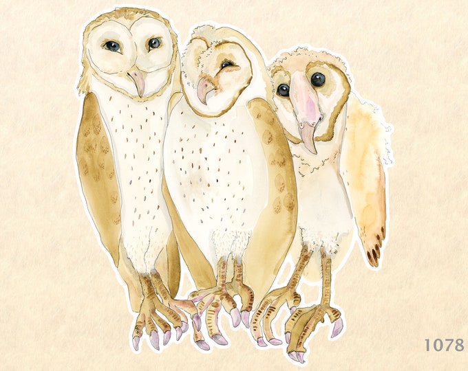 Barn Owls Sticker Bird Sticker Water Color Art Sticker