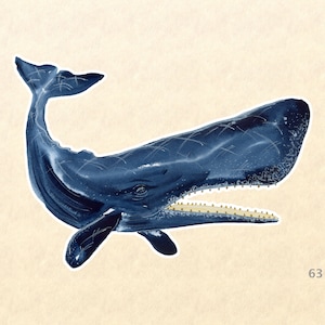 クジラステッカー、海の生物ステッカー、野生動物ステッカー、ラップトップステッカー、ウォーターボトルステッカー、スクラップブッキングステッカー、Macbookデカール
