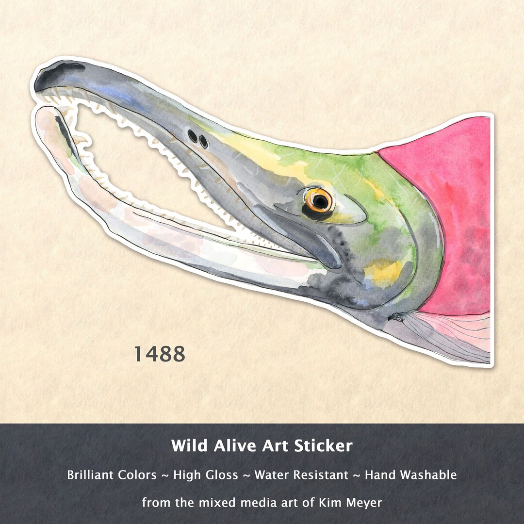 Sockeye Salmon Sticker Animal Sticker Fish Sticker Sport Fishing ...
