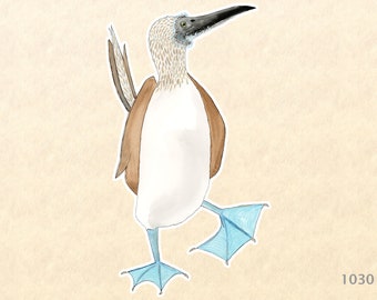 Blue Footed Boobie Sticker Bird Sticker Watercolor Art Water Bottle Sticker Scrapbook Sticker