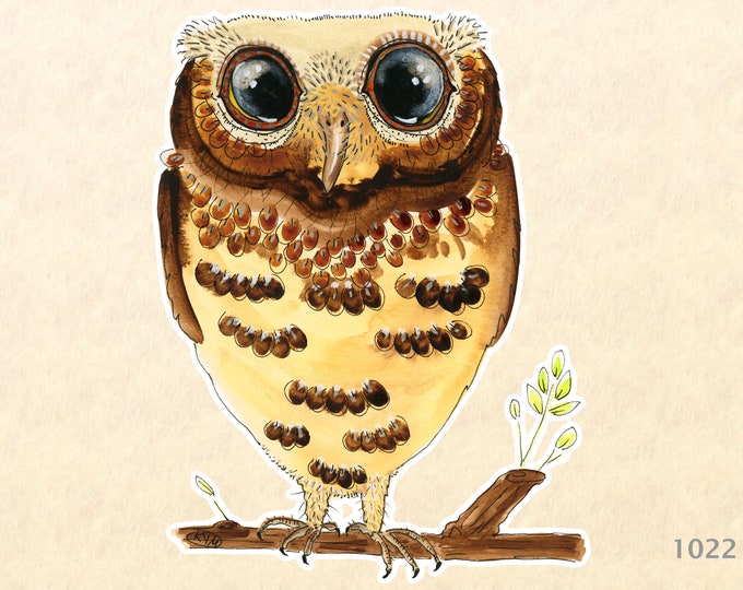 Owl on a Branch Sticker Bird Sticker Water Color Art Sticker