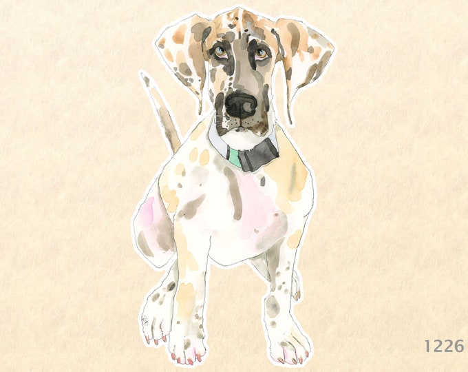 Great Dane Puppy Sticker Cute Animal Sticker Fun Animal Sticker Watercolor Art Water Bottle Sticker Scrapbook Sticker Macbook Decal