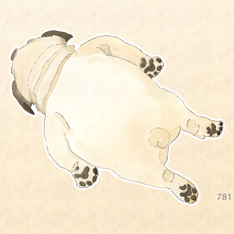 K&ouml;nnte beinhalten: Eine Aquarell-Illustration eines Mops, der auf dem R&uuml;cken liegt und die Beine in die Luft streckt. Der Hund ist hellbraun mit schwarzen Markierungen im Gesicht und an den Pfoten.