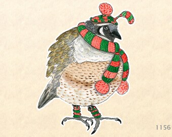 Christmas Quail with a Red and Green Knitted Scarf and Cap Sticker Watercolor Art Sticker Water Bottle Sticker Scrapbooking Sticker