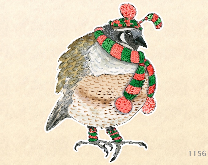 Christmas Quail with a Red and Green Knitted Scarf and Cap Sticker Watercolor Art Sticker Water Bottle Sticker Scrapbooking Sticker