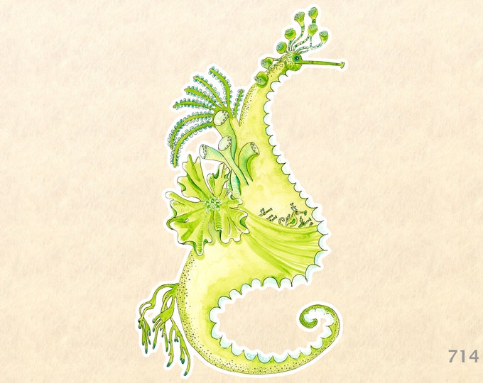 Sea Horse Sticker Sea Life Sticker Beach Sticker Nautical Sticker Laptop Sticker Water Bottle Sticker Decorative Sticker Watercolor Art