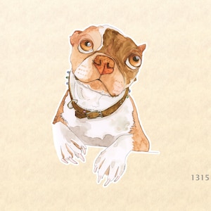 Frenchton Sticker Französische Bulldogge Aufkleber Boston Terrier Aquarell Kunst Aufkleber Phone Journal Tagebuch Laptop Sticker Wasserflasche Sticker