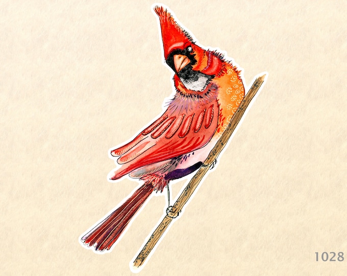 Male Northern Cardinal Sticker State Bird Sticker Watercolor Art Water Bottle Sticker Scrapbook Sticker