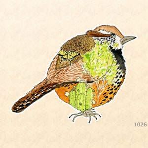 Cactus Wren Sticker Arizona State Bird Sticker Saguaro Cactus Two tailled Swallowtail Watercolor Art Water Bottle Sticker Scrapbook Sticker