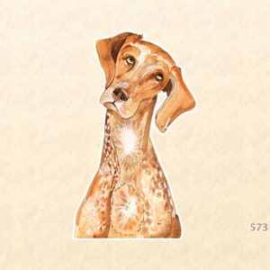 May include: A watercolor illustration of a brown and white spotted dog with a long snout and floppy ears. The dog is looking up and to the left, with a curious expression on its face.