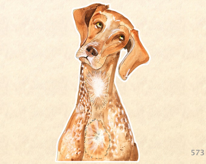 German Short Haired Pointer Dog Sticker Cute Dog Sticker Watercolor Art Laptop Phone Water Bottle Sticker Scrapbook Sticker