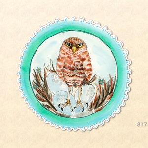 May include: A watercolour illustration of a brown and orange owl with yellow eyes, perched on a nest of white eggs. The owl is surrounded by blue flowers and green leaves. The illustration is framed in a turquoise circle with a white border.