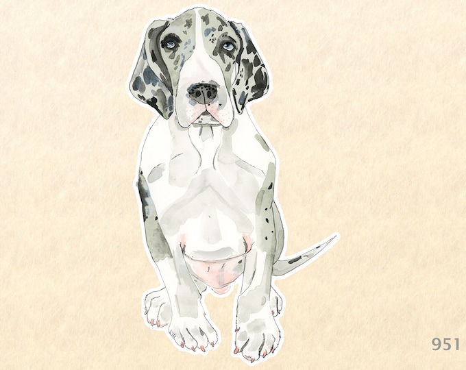 Great Dane Puppy Sticker Cute Dog Sticker Watercolor Art Water Bottle Sticker Scrapbook Sticker iPhone Android Phone Macbook Decal