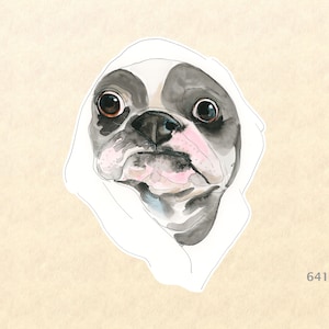 Dog Stickers, Boston Terrier Stickers, Cute Animal Stickers, Fun Animal Stickers, Water Bottle Stickers, Scrapbook Stickers image 1