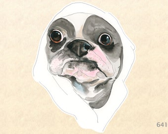 Dog Stickers, Boston Terrier Stickers, Cute Animal Stickers, Fun Animal Stickers, Water Bottle Stickers, Scrapbook Stickers