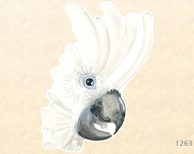 White Parrot Sticker Cockatoo Sticker Bird Sticker Watercolor Art Sticker Water Bottle Sticker Scrapbooking Sticker