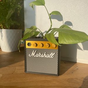 Könnte beinhalten: Ein grauer und goldener Pflanzkasten der Marke Marshall mit einer grünen Pflanze, die aus ihm herauswächst. Der Pflanzkasten ist in Form eines kleinen Verstärkers gestaltet.