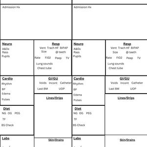 May include: A medical chart with headings for patient information, including name, age, gender, allergies, code status, consults, past medical history, admission history, neurological assessment, respiratory assessment, cardiovascular assessment, gastrointestinal assessment, diet, labs, and skin/drains.