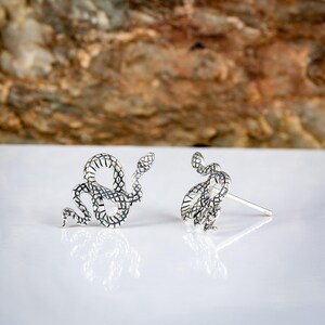May include: A pair of silver-colored snake earrings. One earring is a stud, and the other is a detailed snake design. The snakes are coiled and have textured scales. The earrings are displayed on a white surface with a blurred brown background.