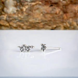 May include: A pair of silver snake stud earrings. One earring is a detailed snake design, coiled with dotted markings. The other earring is a simplified snake head with a post. The earrings are on a white surface.