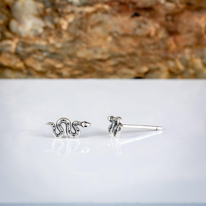 May include: A pair of silver snake stud earrings. One earring is a detailed snake design, coiled with dotted markings. The other earring is a simplified snake head with a post. The earrings are on a white surface.